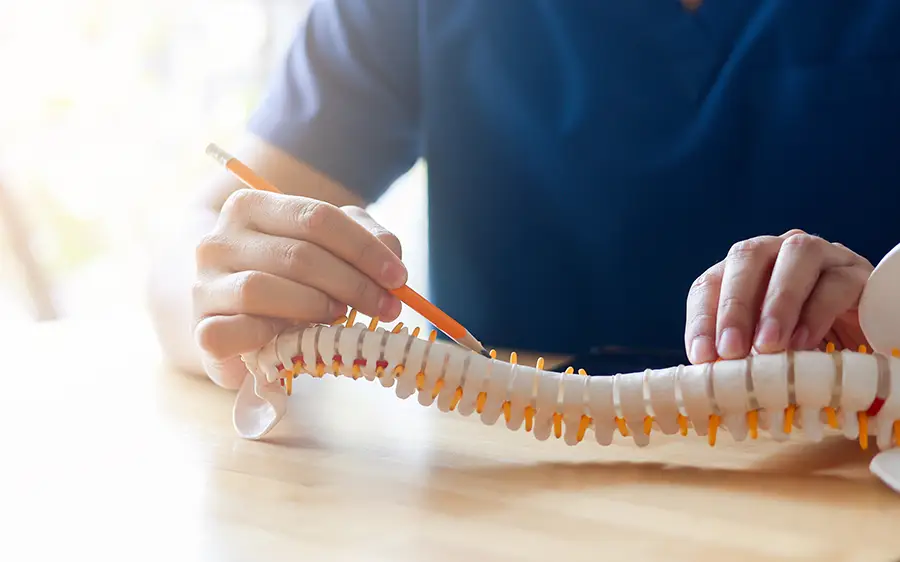 Chi Siamo Studio di Medicina Osteopatica Salus Forestieri